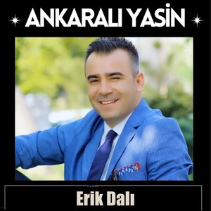 Erik Dalı