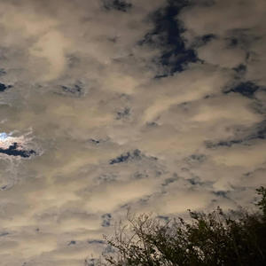 The Fallout (Explicit)