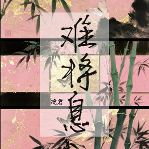 难将息