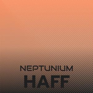 Neptunium Haff