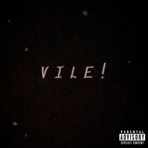 VILE! (feat. Badboi Yolo) [Explicit]