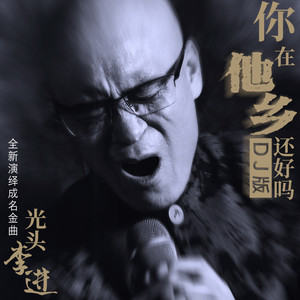 你在他乡还好吗 (DJ默涵版)封面