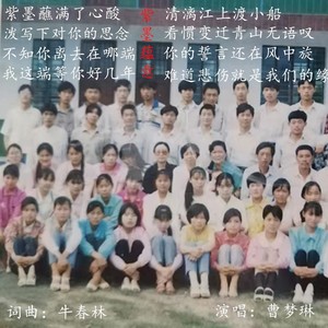 飘香夜雨 - 紫墨蕴意伴奏 (伴奏)