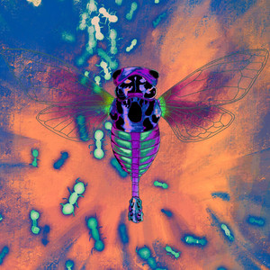 La Cigale Et La Fourmi