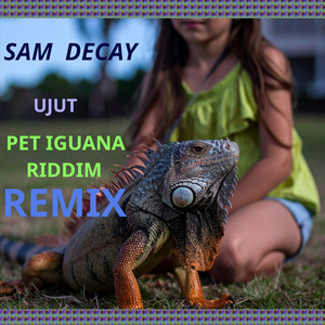 Pet Iguana Riddim (Remix)