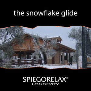 The snowflake glide