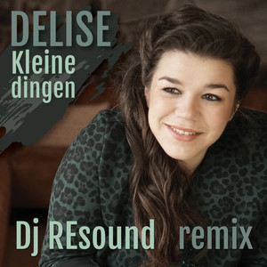 Kleine dingen (Remix)