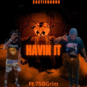 Havin It (feat. 750Grim) [Explicit]