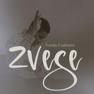 Zvese (feat. paNashe)