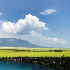 No,41能便宜点吗？Can you lower it, please?