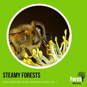 Start the Morning with a Wing Flapping Harmony