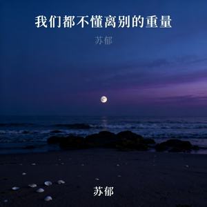 我们都不懂离别的重量