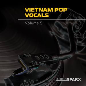 Vietnam Pop Vocals Volume 5