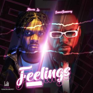 Feelings (feat. Samzi bumerey)