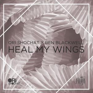 Heal My Wings