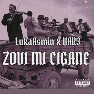 Zovi mi cigane (feat. LukaAsmin)