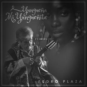 Yungueña mi yungueñita