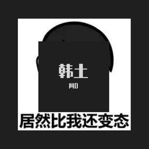 Hardwell-Bigroom Never Dies 韩土 (阿D remix)