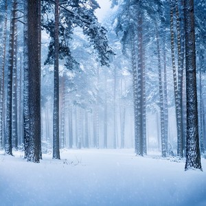 Awakening To New Ideas