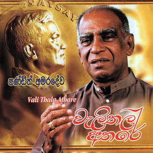W.D. Amaradeva - Paramitha Bala