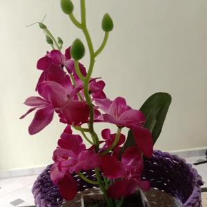 Rege Salam Rindu (Acoustic)