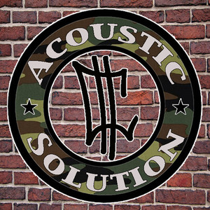 Acoustic Solution (feat. Bill Welter)