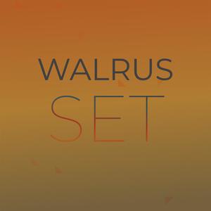 Walrus Set