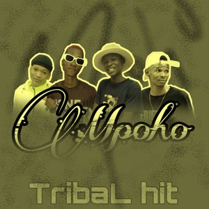 Mpoho (feat. Nanza sa) (Radio Edit)