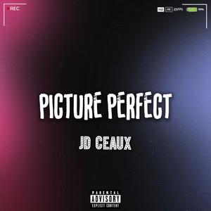 Picture Perfect (Explicit)