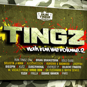 Tingz Nah Run We, Vol. 2
