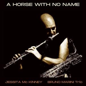 A horse with no name