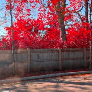 You(feat. Ryuu Noah) (Explicit)