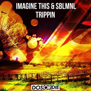 Trippin (Hochanstaendig Remix)