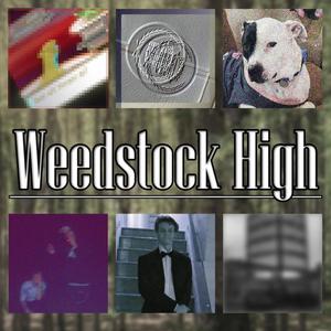 Abandoned Van (Explicit)