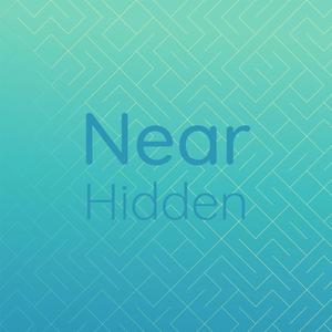 Near Hidden