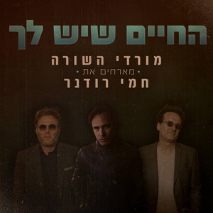 החיים שיש לך