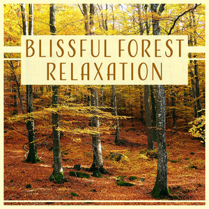 Blissful Forest Relaxation: Woodland Ambient, Soothing Music, Call of Nature, Sounds for Home Meditation, Better Sleep & Spa Massage