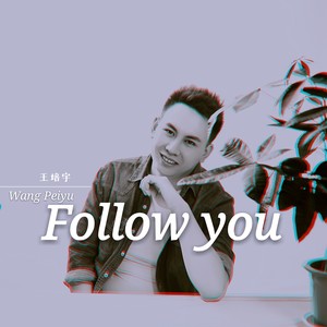 Follow You