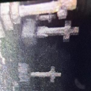 Pleads (feat. xstasyslim, Viss & juuvarc) (Explicit)