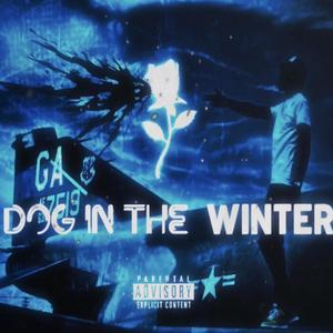 Dog In The Winter EP (Explicit)