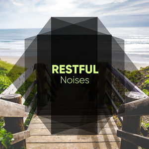 Wondering Heart Beat