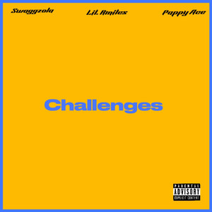 Challenges (Explicit)