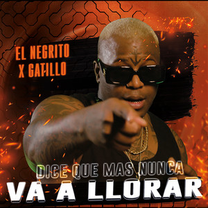 Dice que mas nunca va a Llorar