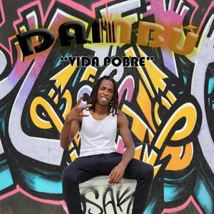 Vida Pobre