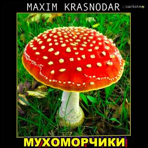 Мухоморчики (Explicit)