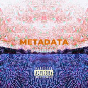 metadata (Explicit)