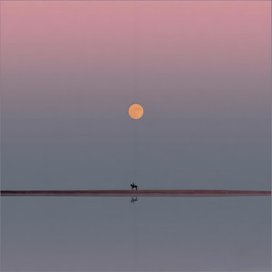 你永远都是最好的自己