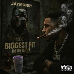 Biggest pit in detroit (Explicit)