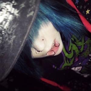 h3r l0v3r (Explicit)