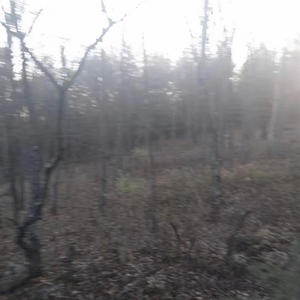 Do what you want (Explicit)